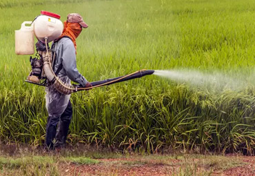 Agrochemicals