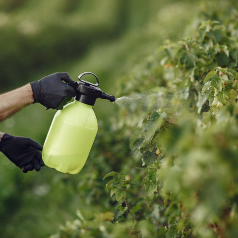 Understanding the Types of Pesticide Additives for Effective Agricultural Formulations