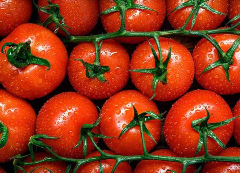 Primary Antioxidants