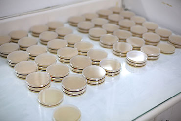Microbiology lab 1