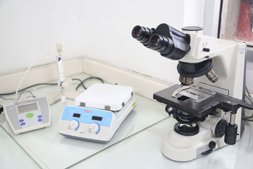 Microbiology lab 3