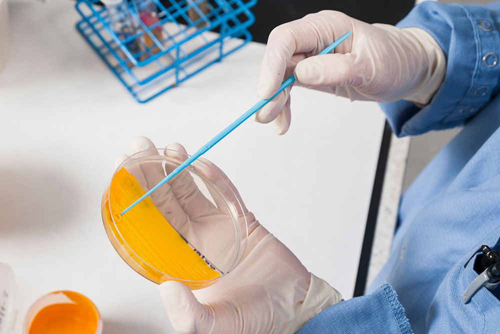 Routine check for cleanliness of the factory and suggestion for improvement