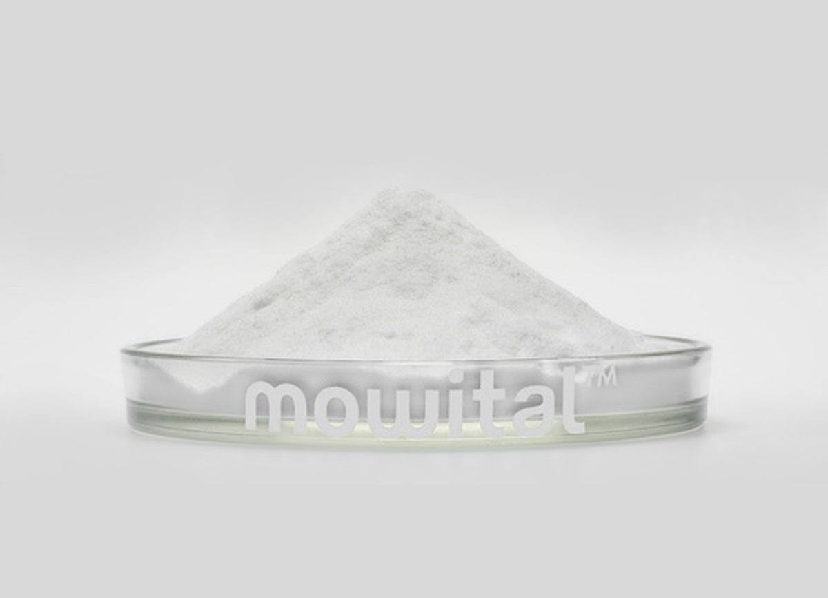Mowital-image1