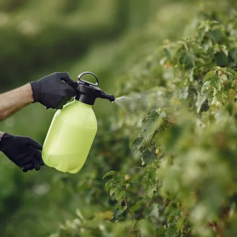 Understanding the Types of Pesticide Additives for Effective Agricultural Formulations